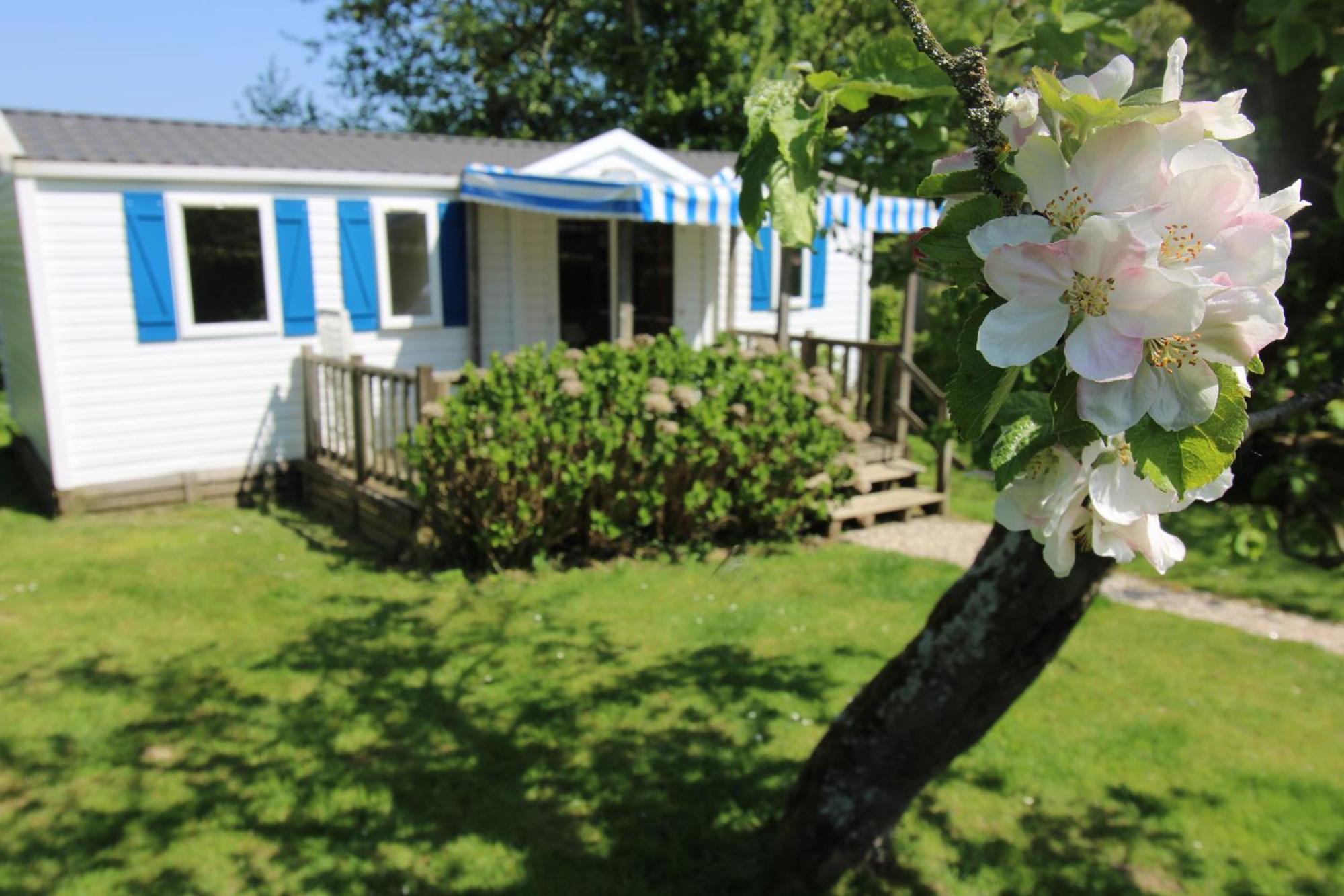 Camping Pommiers Des Trois Pays Licques 외부 사진
