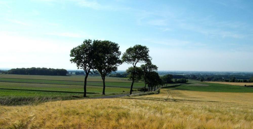 Camping Pommiers Des Trois Pays Licques 외부 사진